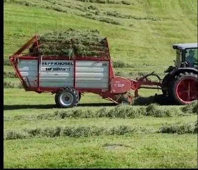 Bergladewagen Sip Senator