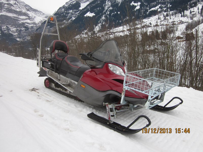 Motorschlitten Arctic-Cat Bearcat 66WT