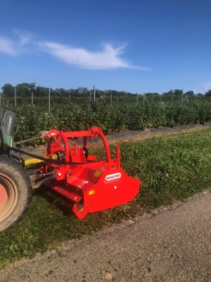 Maschio Mulcher Bella 210 für Front / Heck