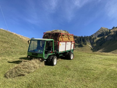 Lüönd Swiss Profi 21m3