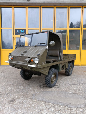 Steyr-Puch Haflinger 700AP Veteran