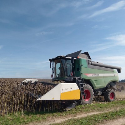 Schneidwerksadapter für Sonnenblumenschneidwek Moresil