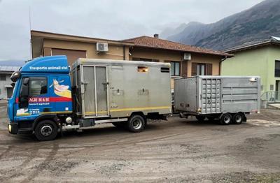 Iveco Eurocargo 100E22 mit Tanner VA-4.4